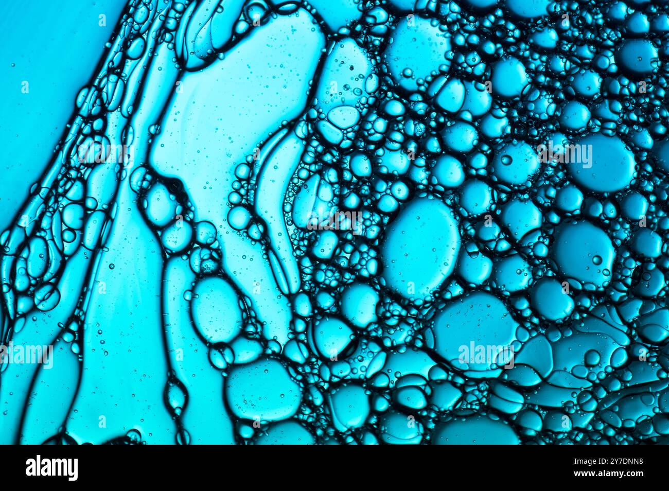 Cellule turchesi blu di olio e acqua astratte Foto Stock