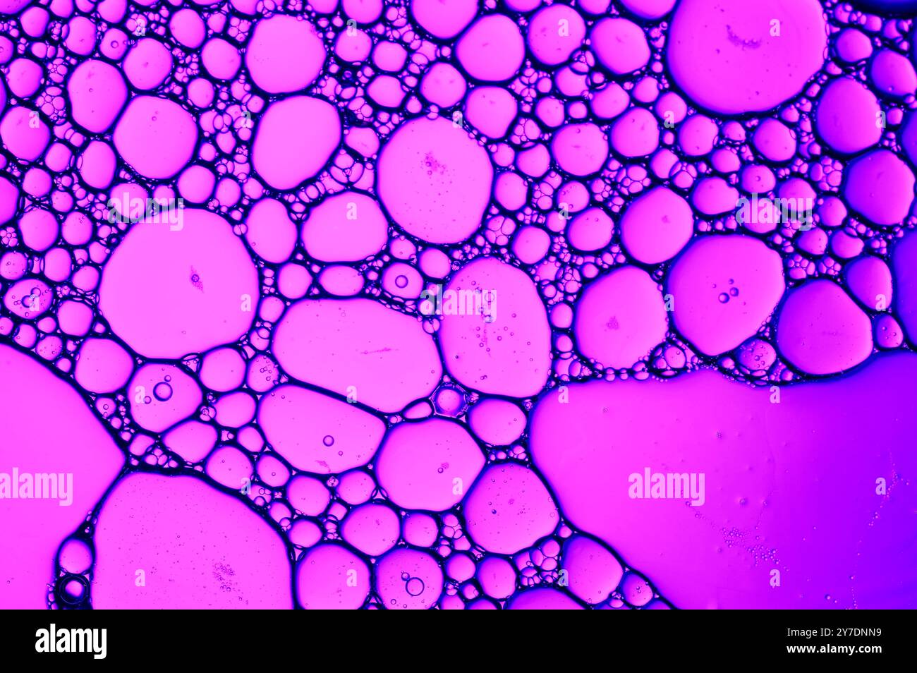 Astratto molecolare di bolle in viola Foto Stock