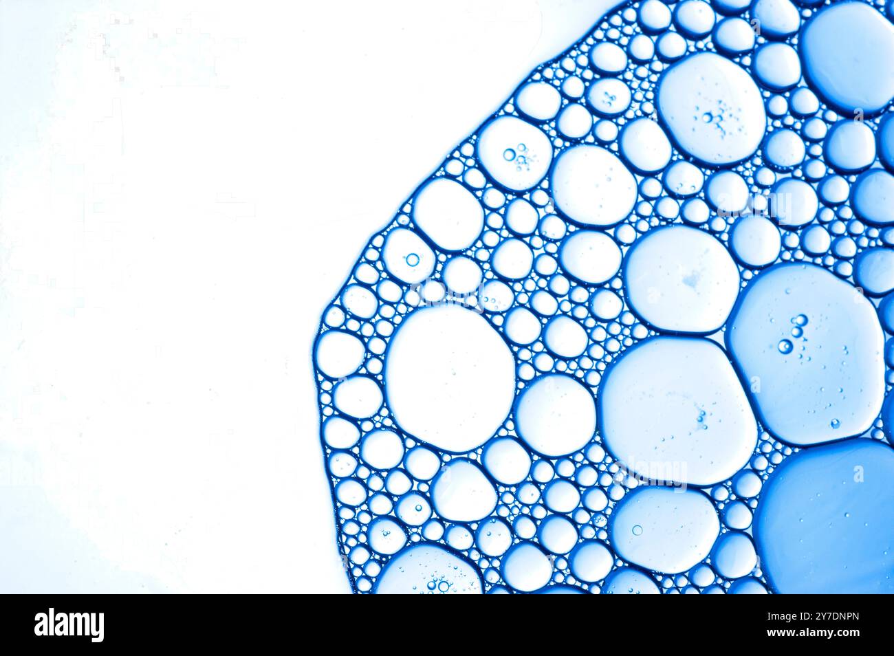 Bolle d'olio in un astratto molecolare in blu Foto Stock