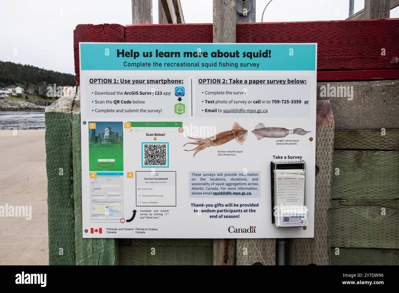Cartello informativo sul calamaro presso il terminal dei traghetti di Portugal Cove St. Philip's, Terranova & Labrador, Canada Foto Stock