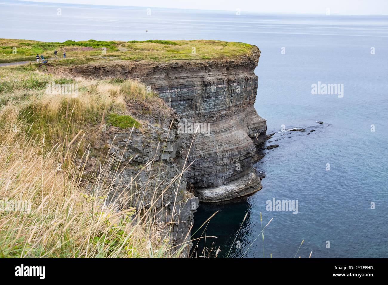 Scogliere ripide presso il faro di Bell Island a Terranova e Labrador, Canada Foto Stock