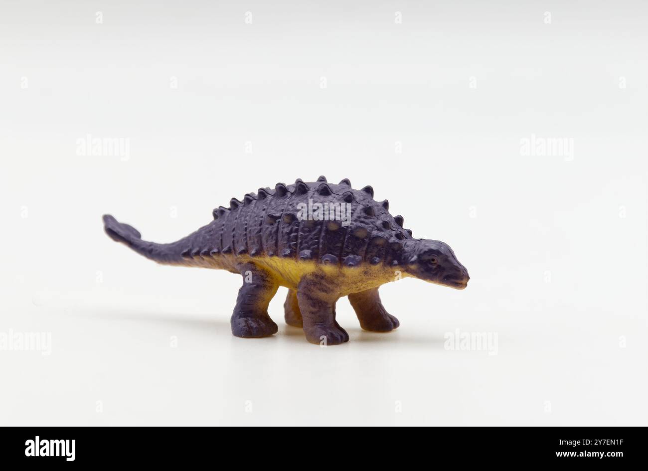 Ankylosaurus isolato su sfondo bianco. Animali preistorici. Foto Stock