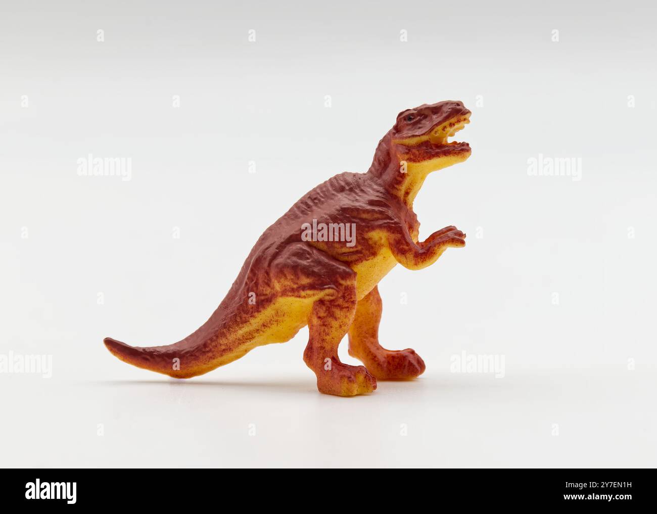 T-rex isolato su sfondo bianco. Animali preistorici. Foto Stock