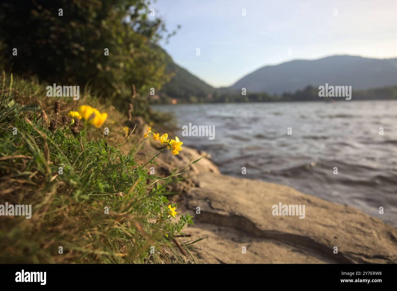 Sentiero in un parco vicino alla riva del lago al tramonto Foto Stock