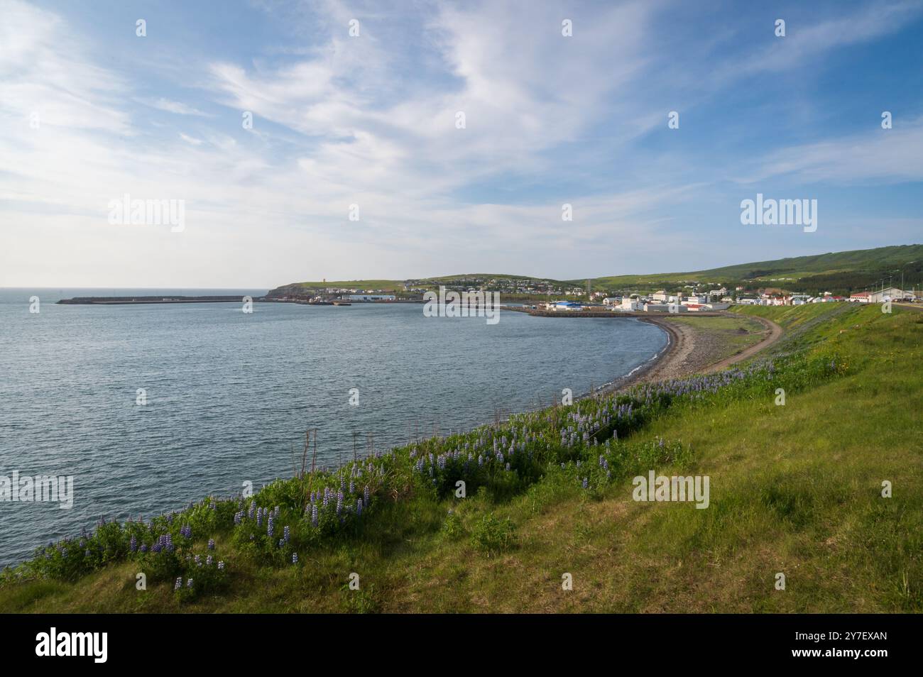 Viste al largo della costa di Húsavík in Islanda Foto Stock