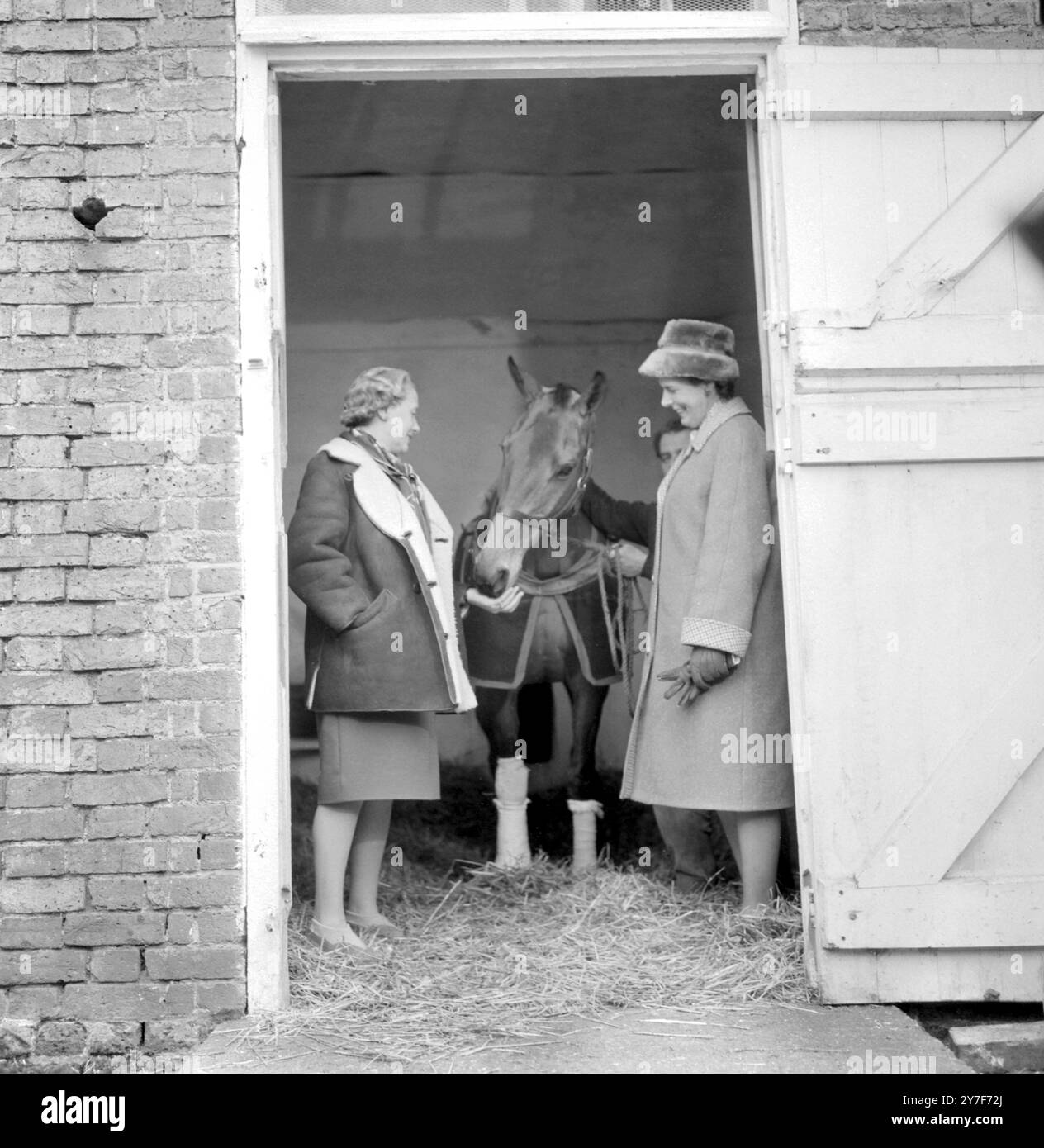 Un esame veterinario del famoso piede ferito di Arkle ha avuto luogo presso le scuderie del Kempton Race Course. La proprietaria di Arkle, Anne, duchessa di Westminister, sorride ad Arkle mentre la signora Dreaper (a sinistra) moglie se l'allenatore di Arkles Tom lo dà da mangiare. L'infortunio è stato subito durante Dic King George vi Steeplechase. 7 gennaio 1967 Foto Stock