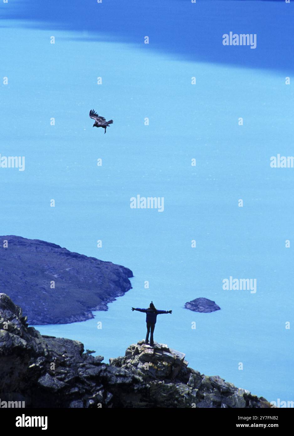 Condor andino ed escursionista in Patagonia, Argentina. Foto Stock