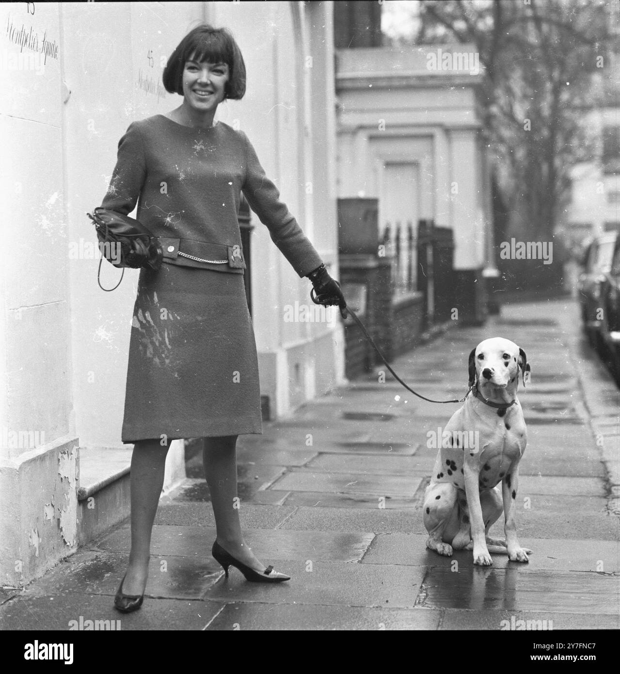 Mary Quant a Chelsea, Londra, 1963. (b. 1934.) La regina della moda degli anni '1960, che ha portato la minigonna e i pantaloni caldi nell'abbigliamento quotidiano e ha aperto la strada alla moda divertente a prezzi accessibili per i giovani. Con il suo cane dalmata. Fotografia di George Douglas Foto Stock