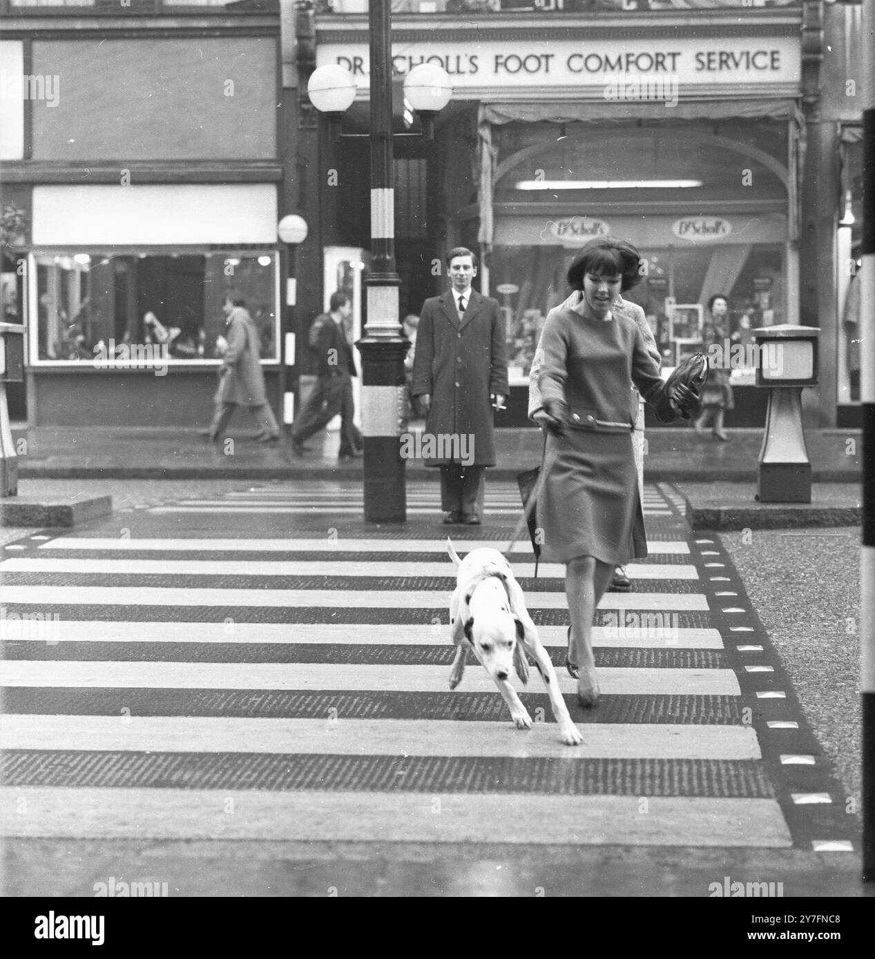 Mary Quant a Chelsea, Londra, 1963. b. 1934. La regina della moda degli anni '1960, che ha portato la minigonna e i pantaloni caldi nell'abbigliamento quotidiano e ha aperto la strada alla moda divertente a prezzi accessibili per i giovani. Fotografia di George Douglas Foto Stock