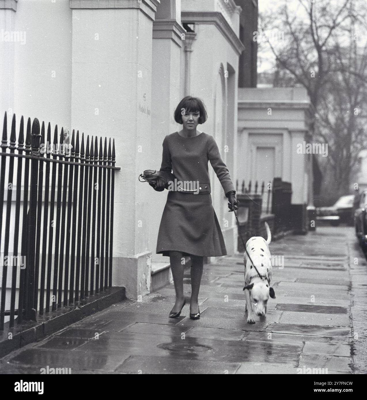 Mary Quant e il cane dalmata a Chelsea, Londra, 1963. b. 1934. La regina della moda degli anni '1960, che ha portato la minigonna e i pantaloni caldi nell'abbigliamento quotidiano e ha aperto la strada alla moda divertente a prezzi accessibili per i giovani. Fotografia di George Douglas Foto Stock