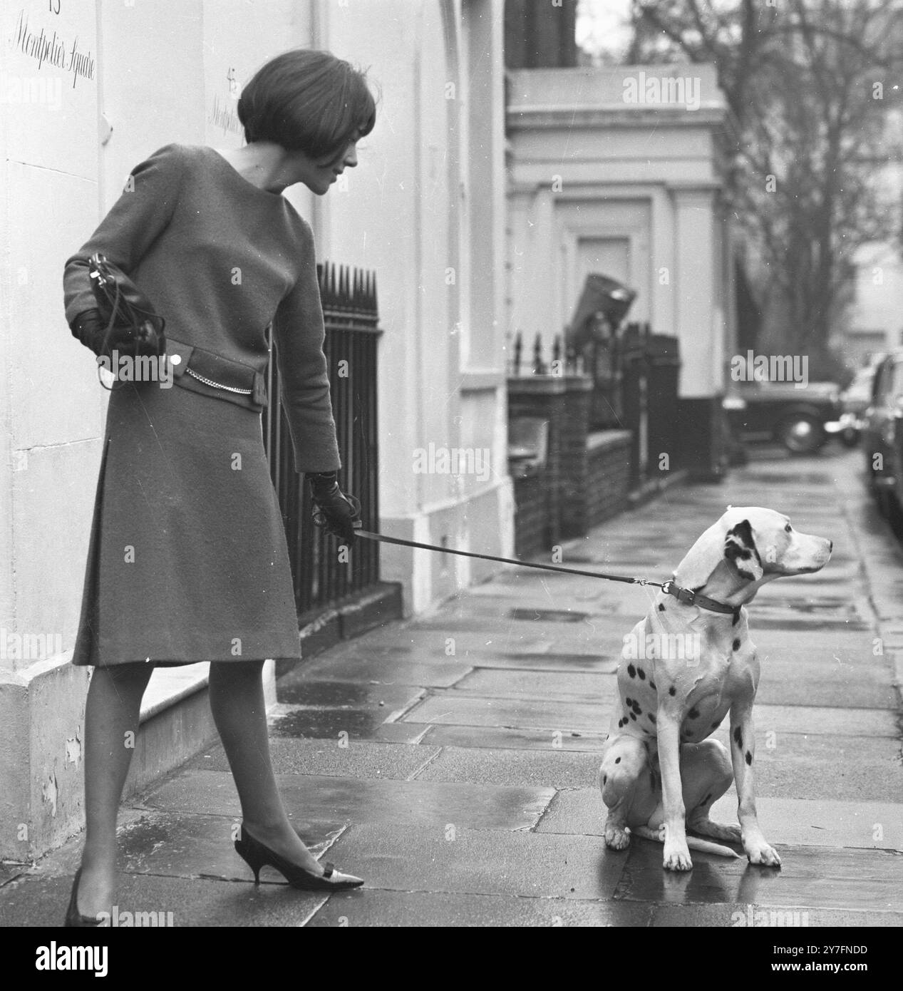 Mary Quant e il cane dalmata a Chelsea, Londra, 1963. b. 1934. La regina della moda degli anni '1960, che ha portato la minigonna e i pantaloni caldi nell'abbigliamento quotidiano e ha aperto la strada alla moda divertente a prezzi accessibili per i giovani. Fotografia di George Douglas Foto Stock