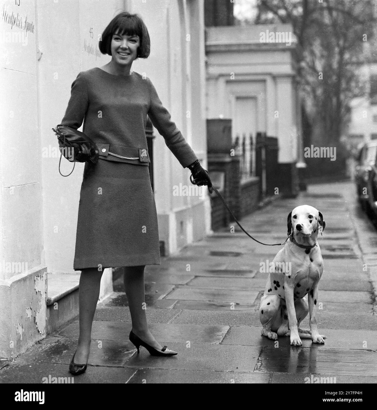 Mary Quant a Chelsea, Londra, 1963. (b. 1934.) La regina della moda degli anni '1960, che ha portato la minigonna e i pantaloni caldi nell'abbigliamento quotidiano e ha aperto la strada alla moda divertente a prezzi accessibili per i giovani. Con il suo cane dalmata. Fotografia di George Douglas Foto Stock