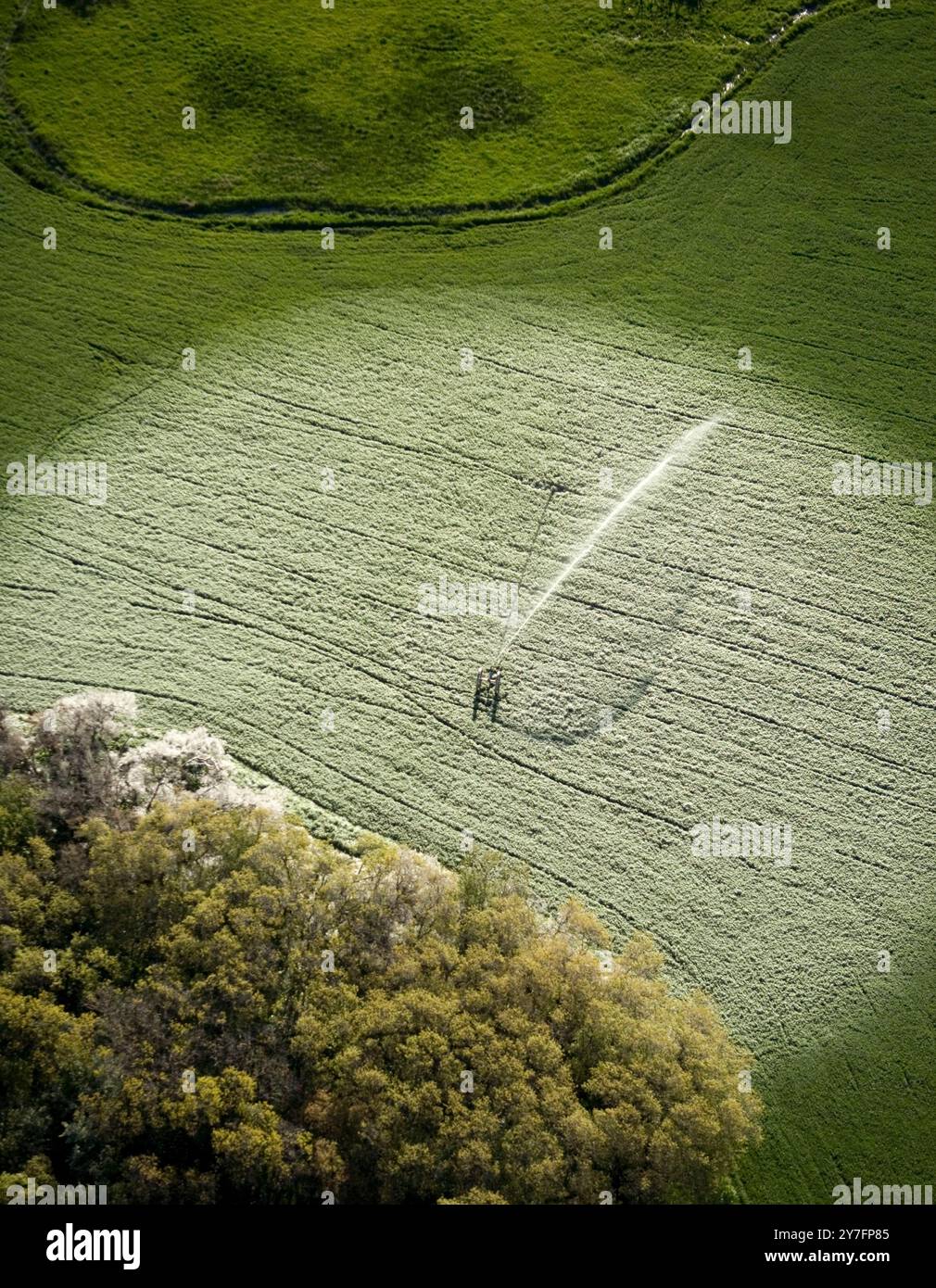 Getto aereo di acqua spruzzata da irrigazione sprinkler e congelamento sul prato. Foto Stock