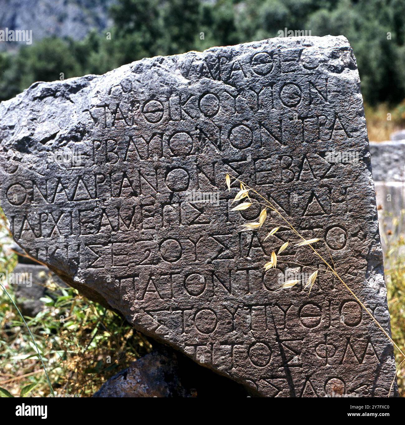 Scrittura greca su una lastra di pietra a Delfi, Grecia. Foto Stock