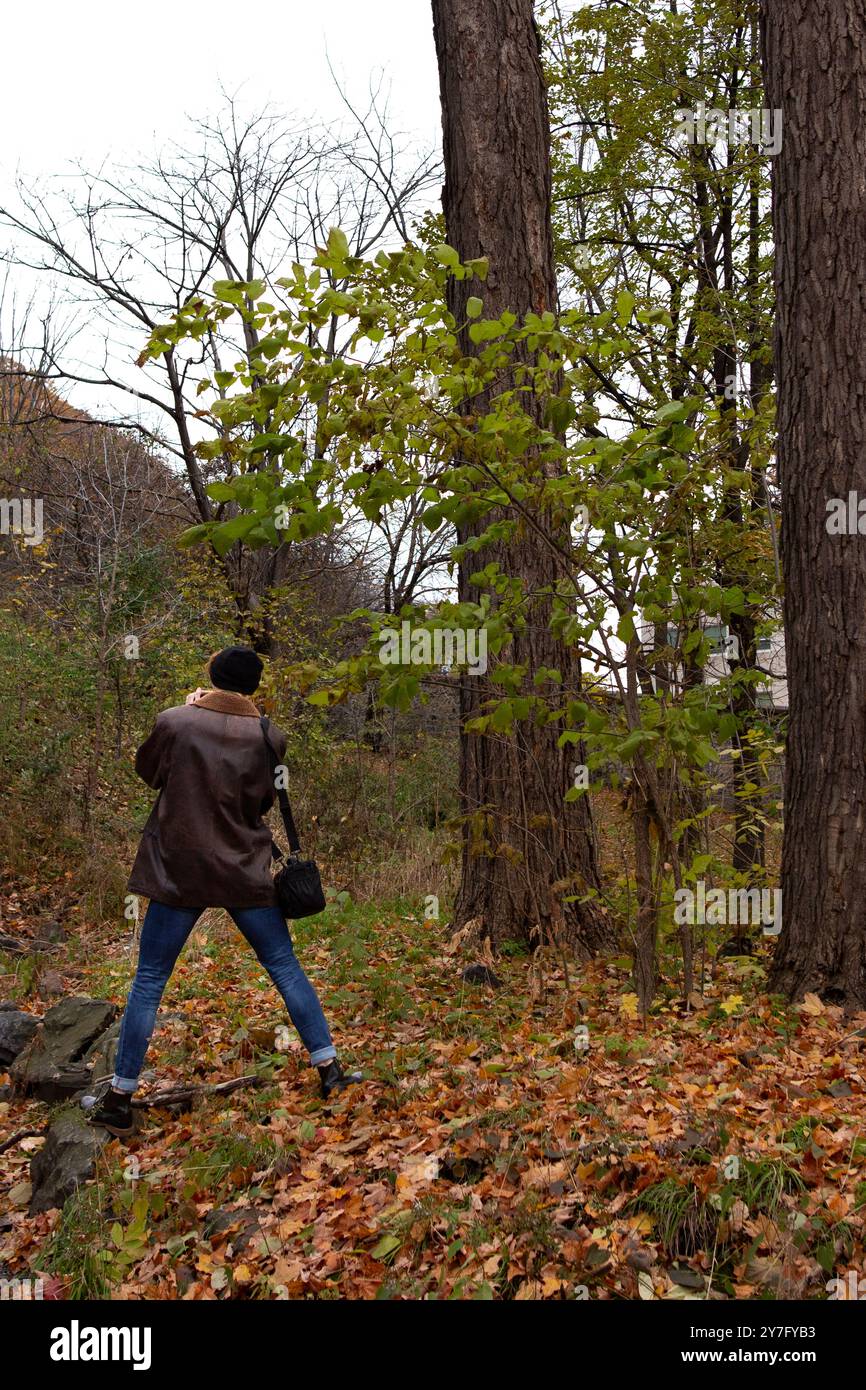 Una persona che esplora un'area boscosa in autunno Foto Stock