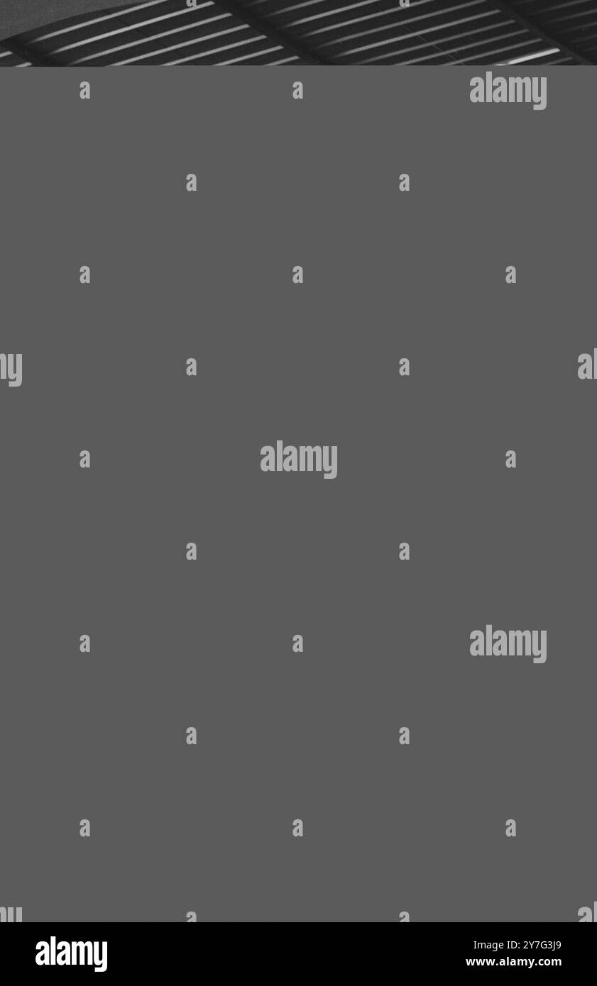 La vincitrice del Dive Ingri Engel Kramer si esibisce vincendo la prima medaglia d'oro dei Germanys alle XVIII Olimpiadi del 13 ottobre 1964 Foto Stock