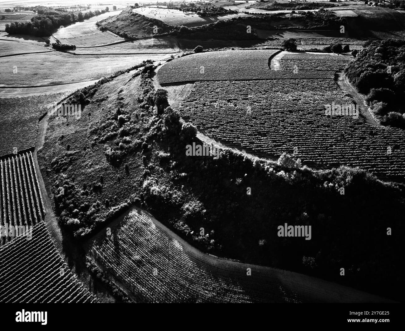 Vista aerea dei campi intorno a St Fort Sur Gironde, Francia, al tramonto Foto Stock