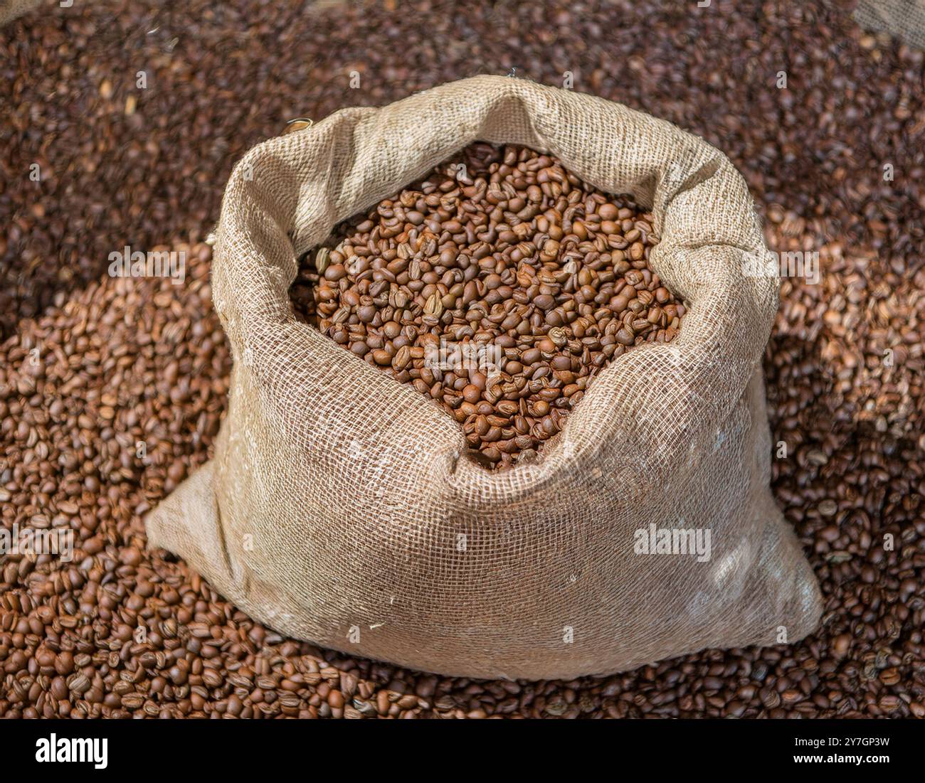 I chicchi di caffè fuoriescono da un sacchetto di lino naturale Foto Stock