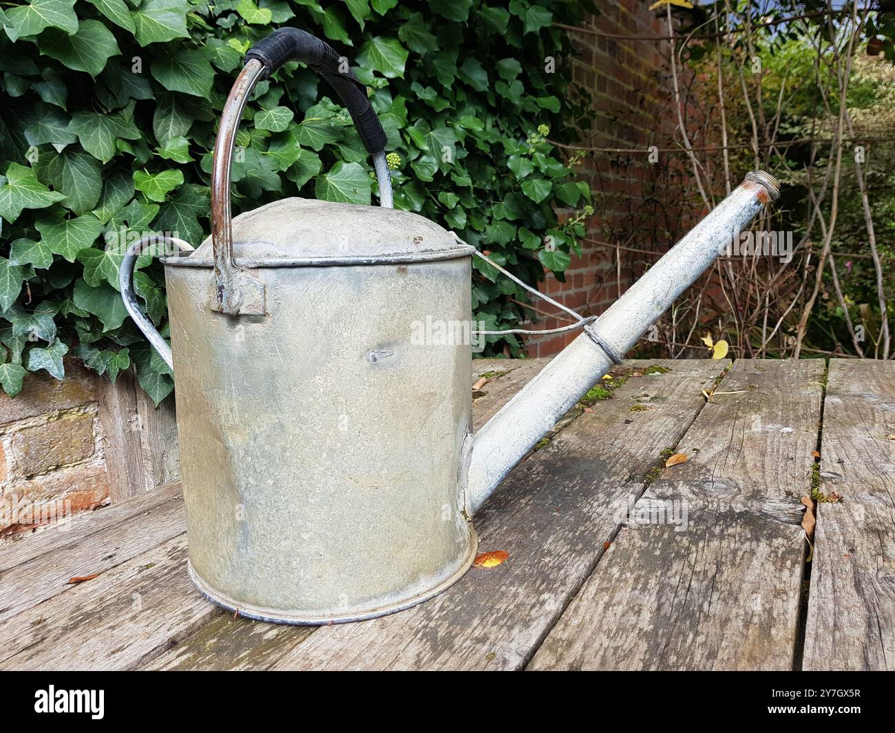 Primo piano di una lattina da annaffiare in stile tradizionale. Foto Stock