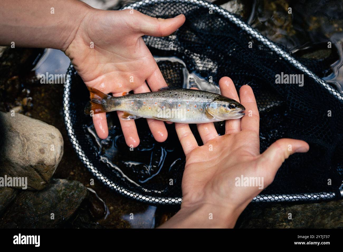 Moulinet de pèche avec un leurre Foto Stock