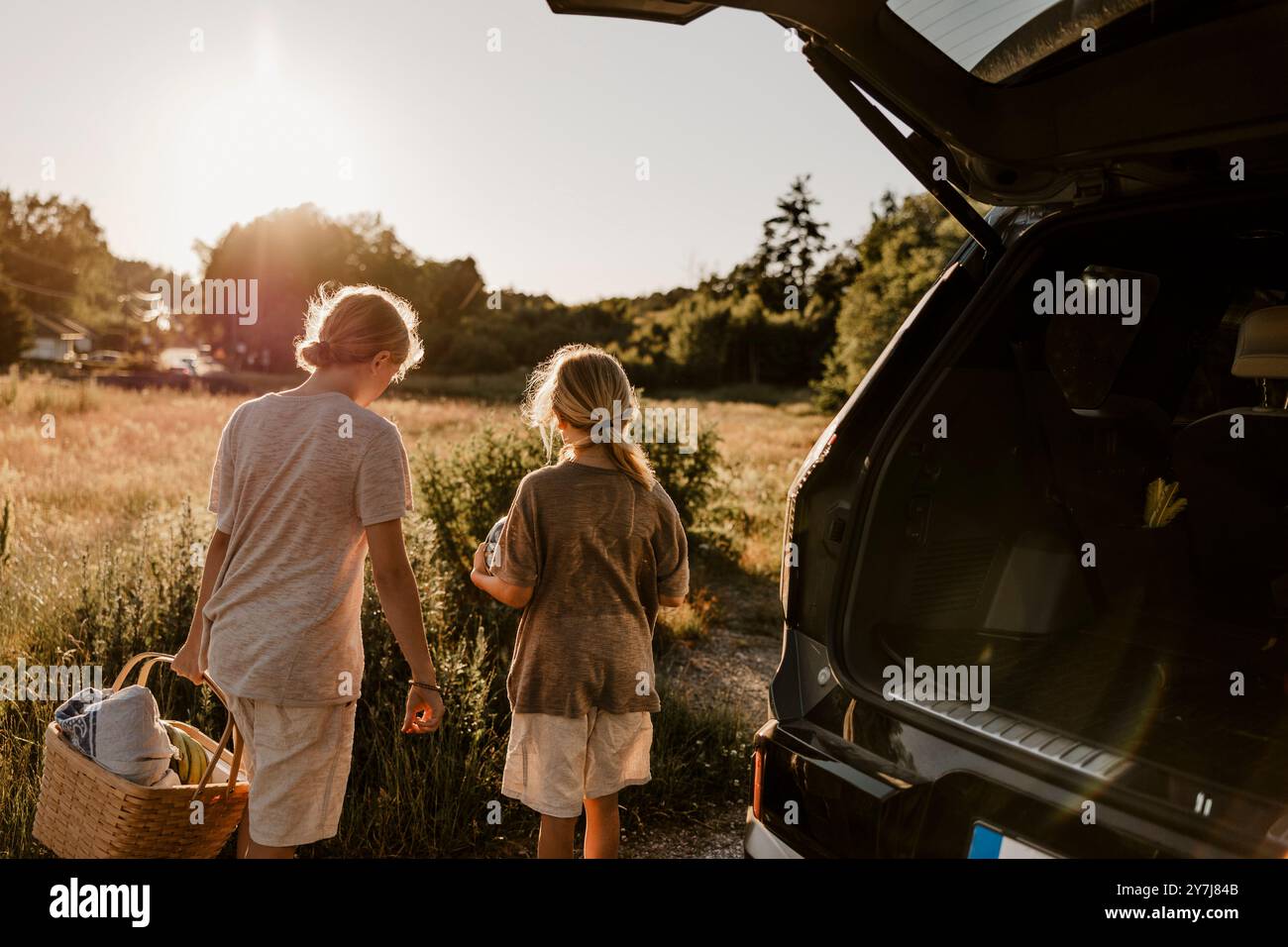 Ragazzo che tiene in mano un cestino da picnic e cammina verso il prato con il fratello nella giornata di sole Foto Stock