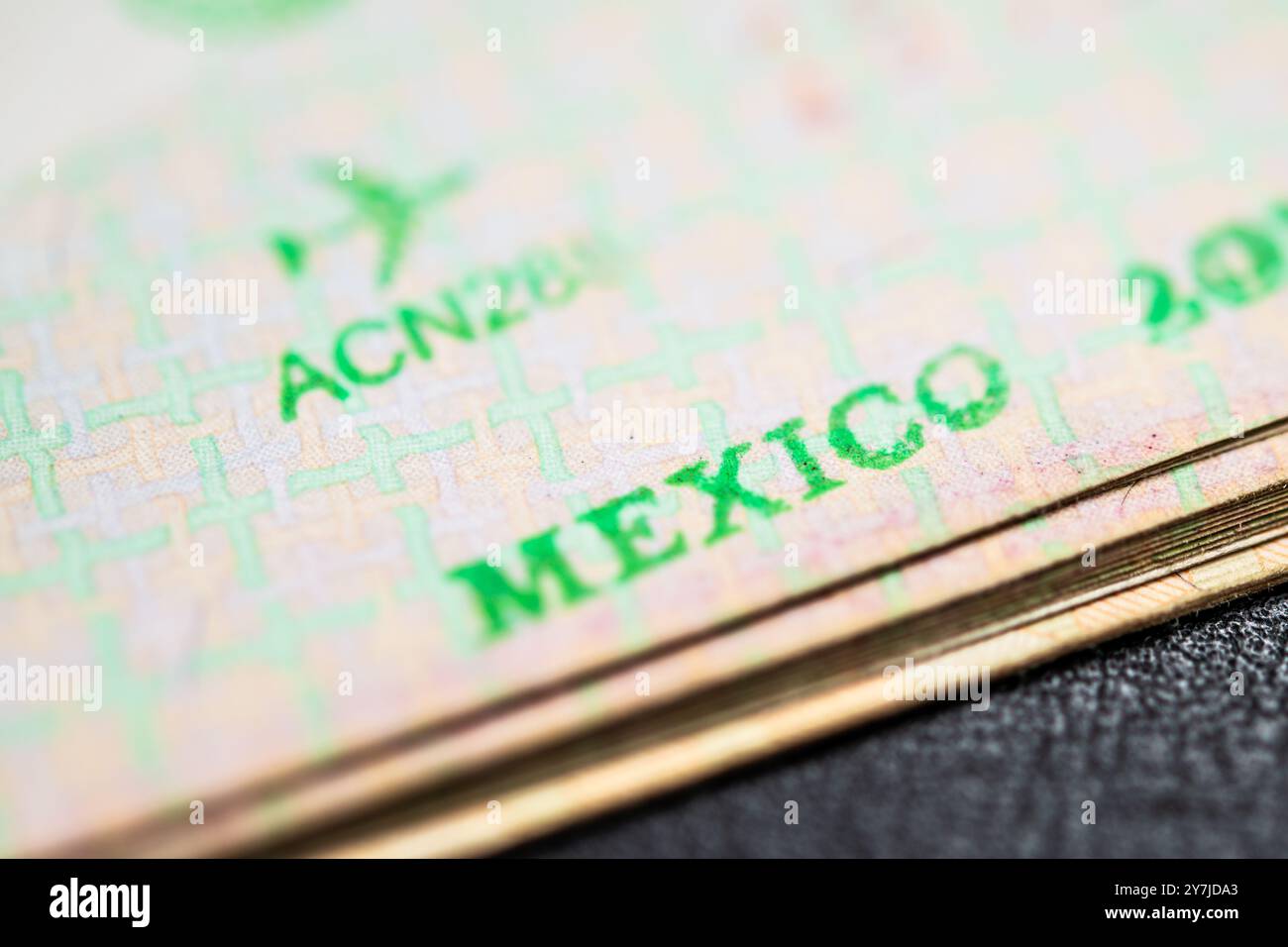 Primo piano dettagliato di un visto per l'immigrazione messicano che mette in evidenza le caratteristiche di sicurezza, la rilevanza del viaggio e gli elementi di verifica dell'identità per i viaggiatori e. Foto Stock