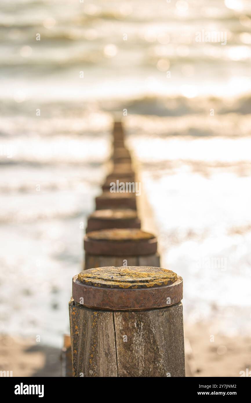 Guardando giù un tratto di pali di legno (groynes) su una spiaggia del Regno Unito (inguine degli Stati Uniti) mentre il sole estivo splende, eretto per prevenire l'erosione/la deriva. Foto Stock