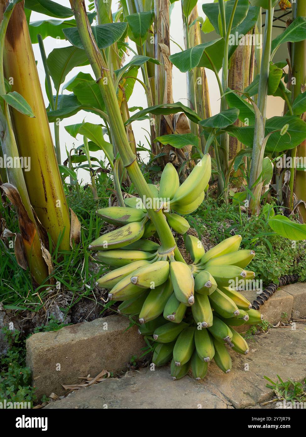 Sicilia Foto Stock