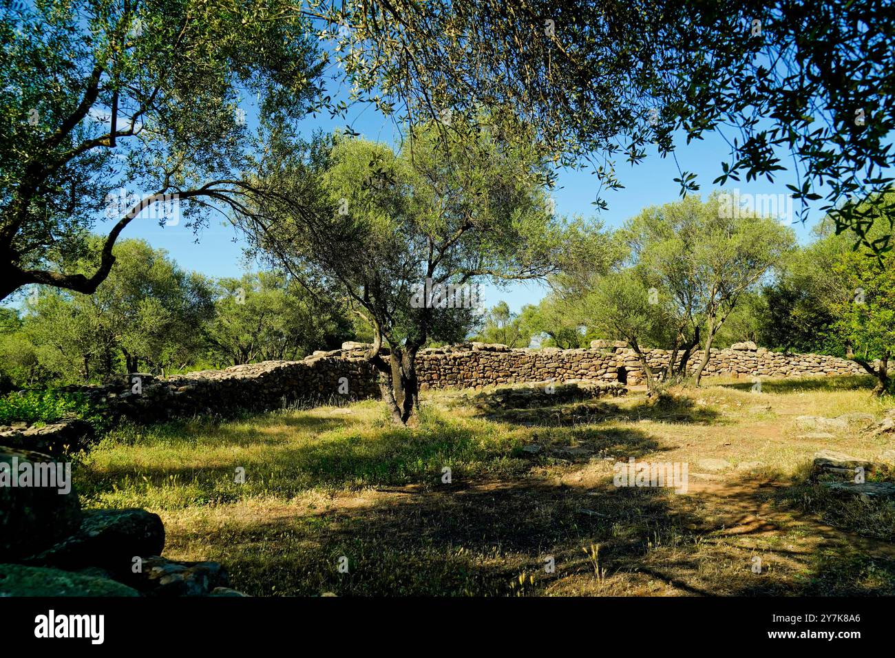Complesso nuragico di Serra Orrios, Dorgali. Provincia di Nuoro, Sardegna. Italia Foto Stock