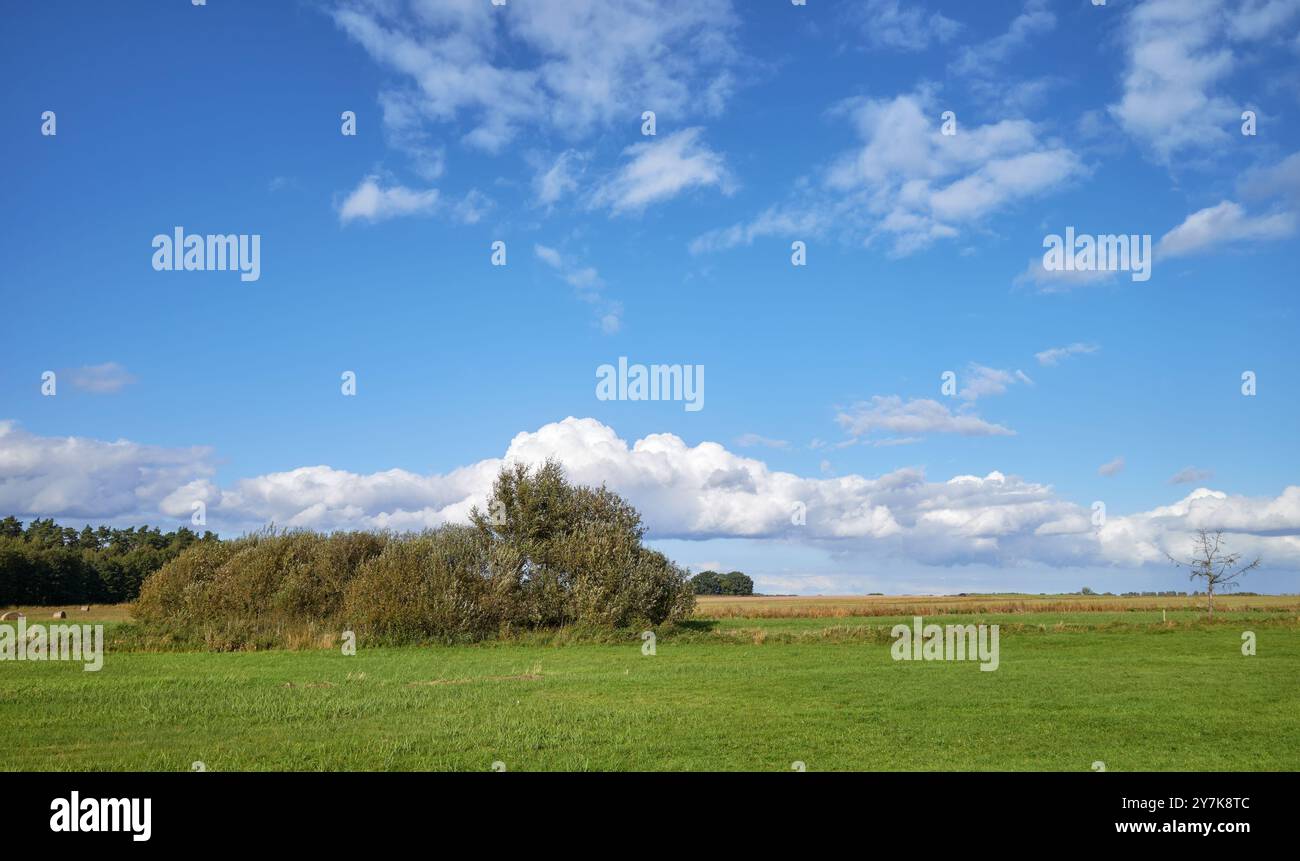 Paesaggio rurale in una giornata di sole, Polonia. Foto Stock