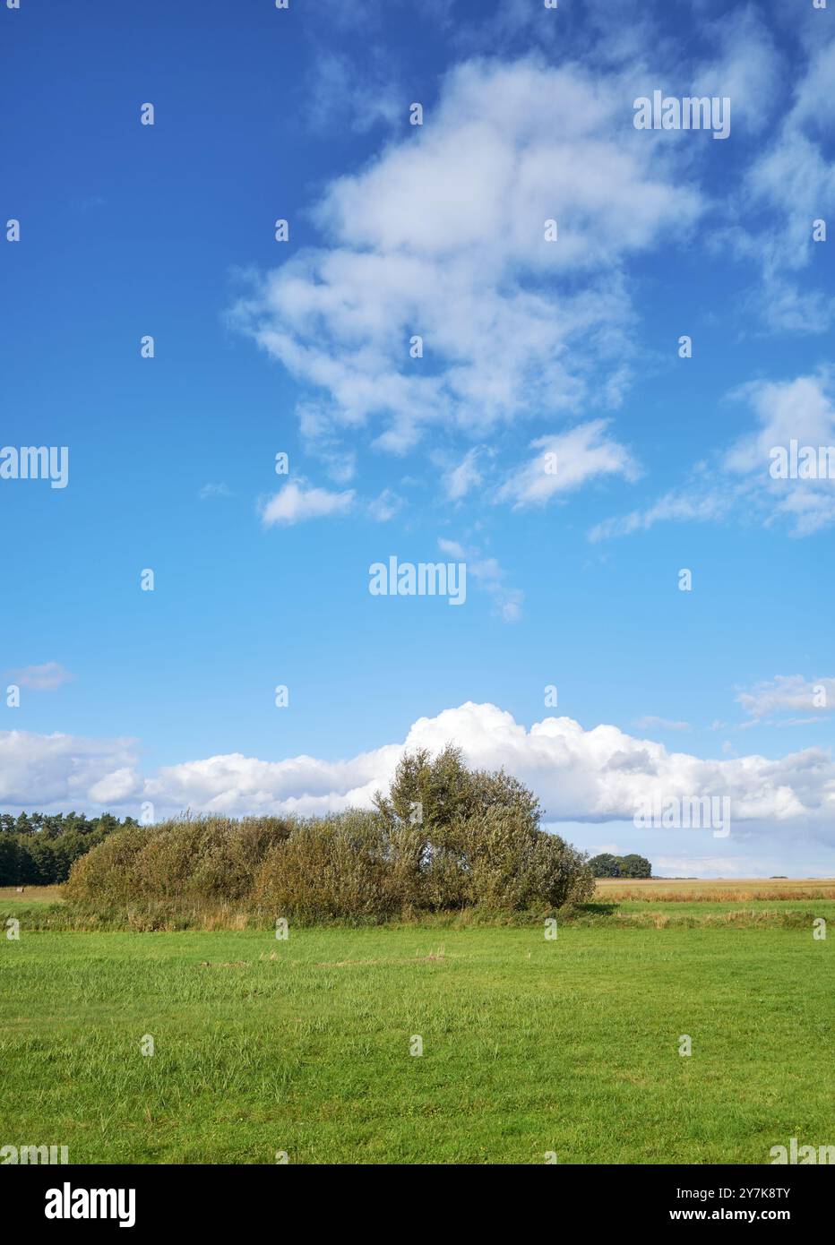 Paesaggio rurale in una giornata di sole, Polonia. Foto Stock