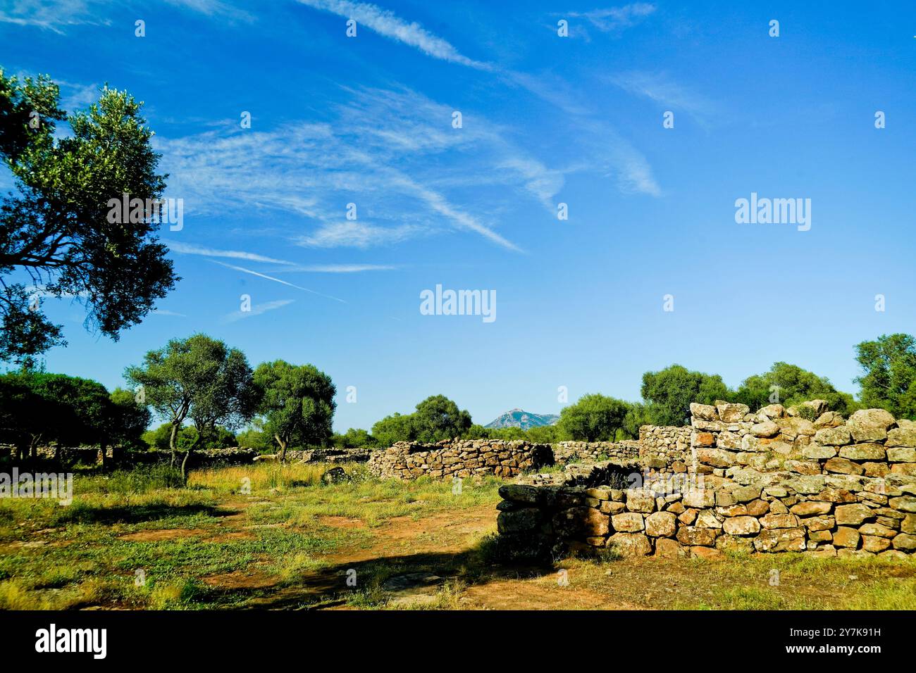 Complesso nuragico di Serra Orrios, Dorgali. Provincia di Nuoro, Sardegna. Italia Foto Stock
