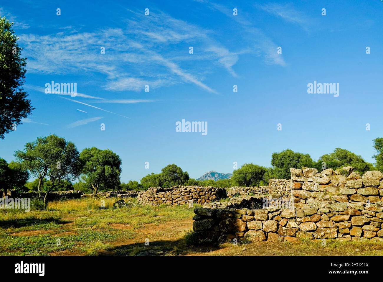 Complesso nuragico di Serra Orrios, Dorgali. Provincia di Nuoro, Sardegna. Italia Foto Stock