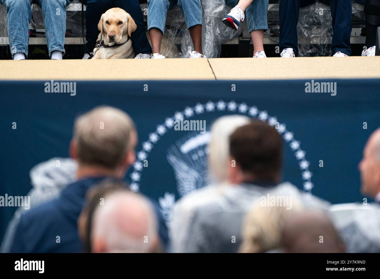 Washington, Stati Uniti. 30 settembre 2024. Un cane di servizio dell'atleta riposa durante un evento che celebra le squadre olimpiche e paralimpiche statunitensi del 2024 sul South Lawn della Casa Bianca a Washington, DC, venerdì 30 settembre 2024. (Foto di Nathan Howard/Sipa USA) credito: SIPA USA/Alamy Live News Foto Stock