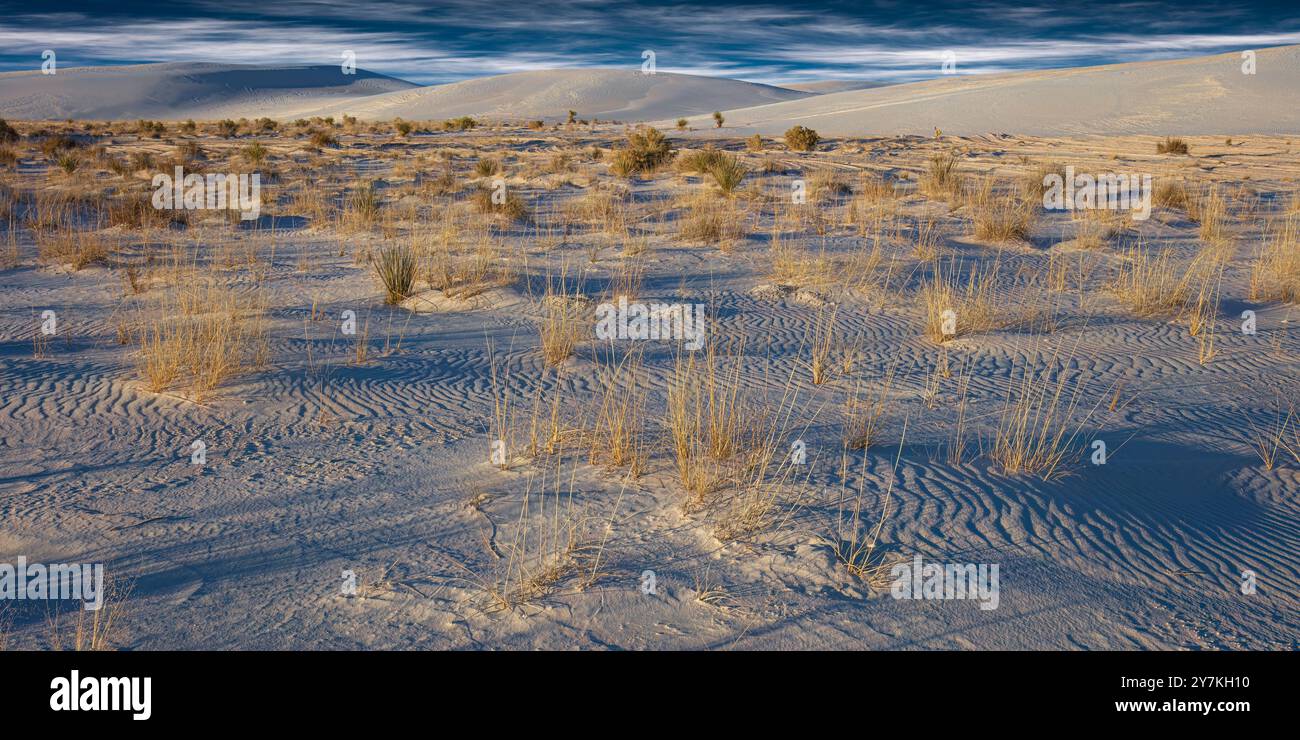 White Sands National Monument, Nuovo Messico Foto Stock