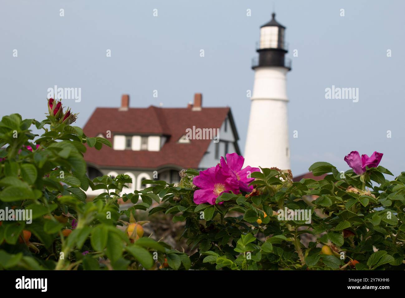 Faro faro, Portland, Maine Foto Stock