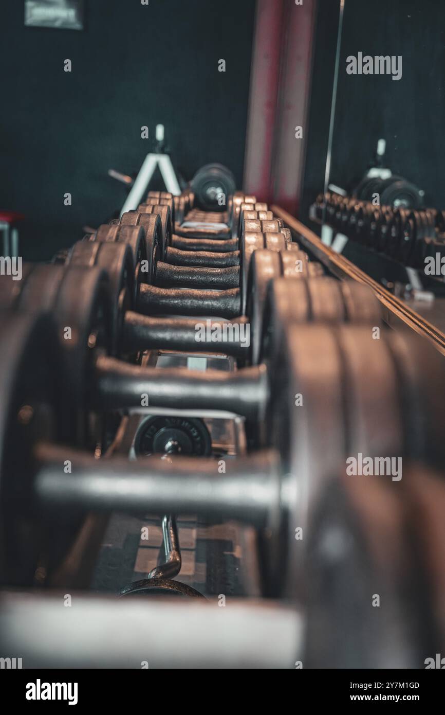 Manubri allineati riflessi su una superficie liscia nella sala fitness, Historic fitness Studio, Bulls Fit, Mannheim, Germania, Europa Foto Stock