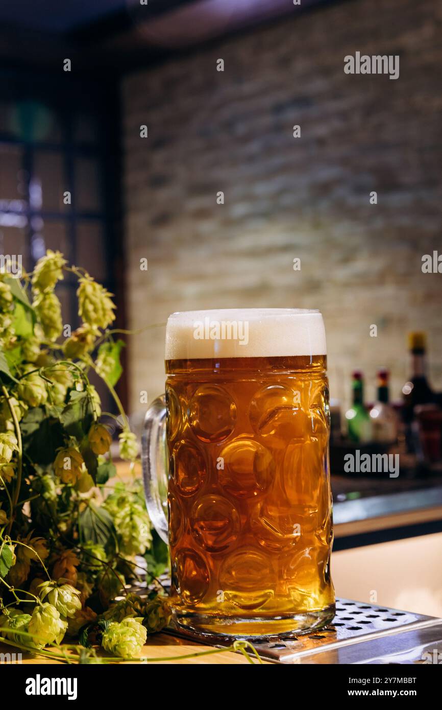 Una rinfrescante pinta di birra dorata con la testa spumeggiante, perfetta per la birra artigianale e i temi correlati alla produzione di birra Foto Stock