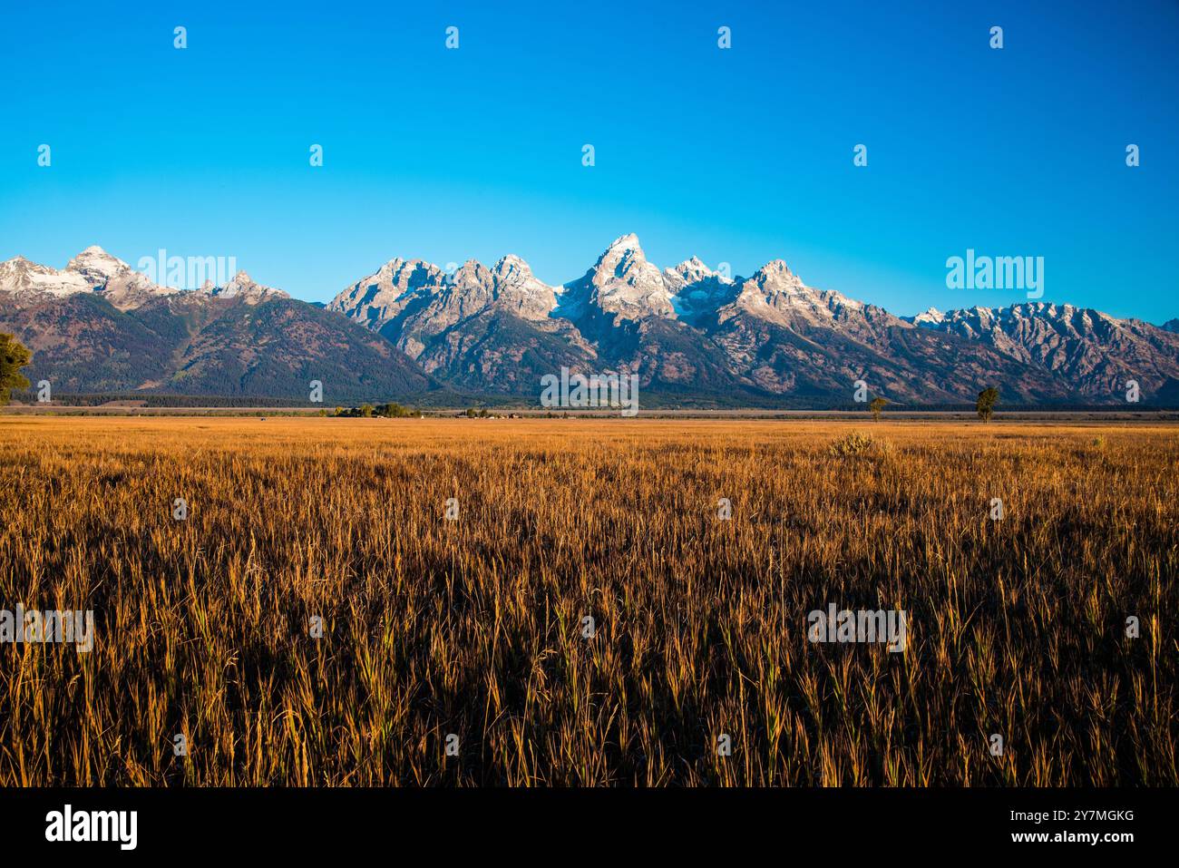 Scene paesaggistiche dei Grand Tetons e del Teton National Park. Foto Stock