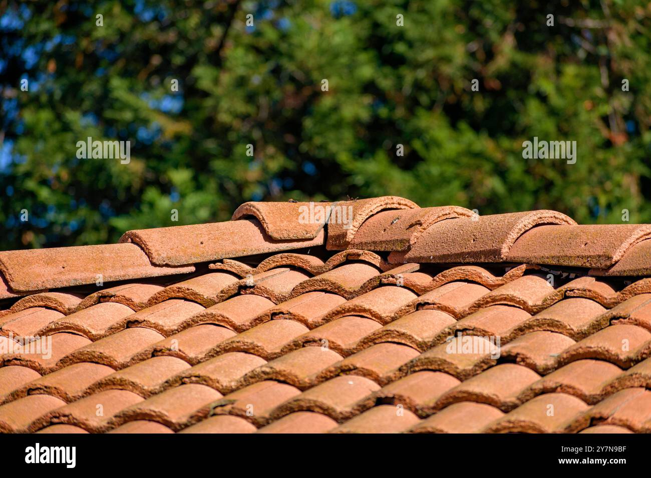 Un tetto in tegole di argilla rossa mostra segni di invecchiamento. Primo piano... Foto Stock