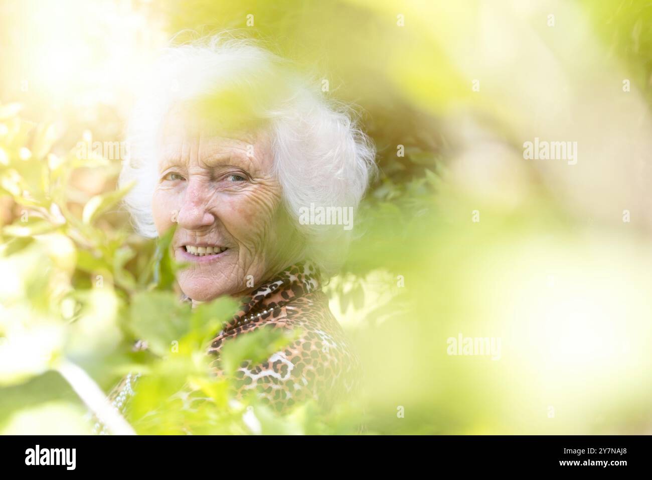 Ritratto di una donna anziana felice sorridere tra le piante di Graden. Bokeh in primo piano - concetto di geriatria Foto Stock