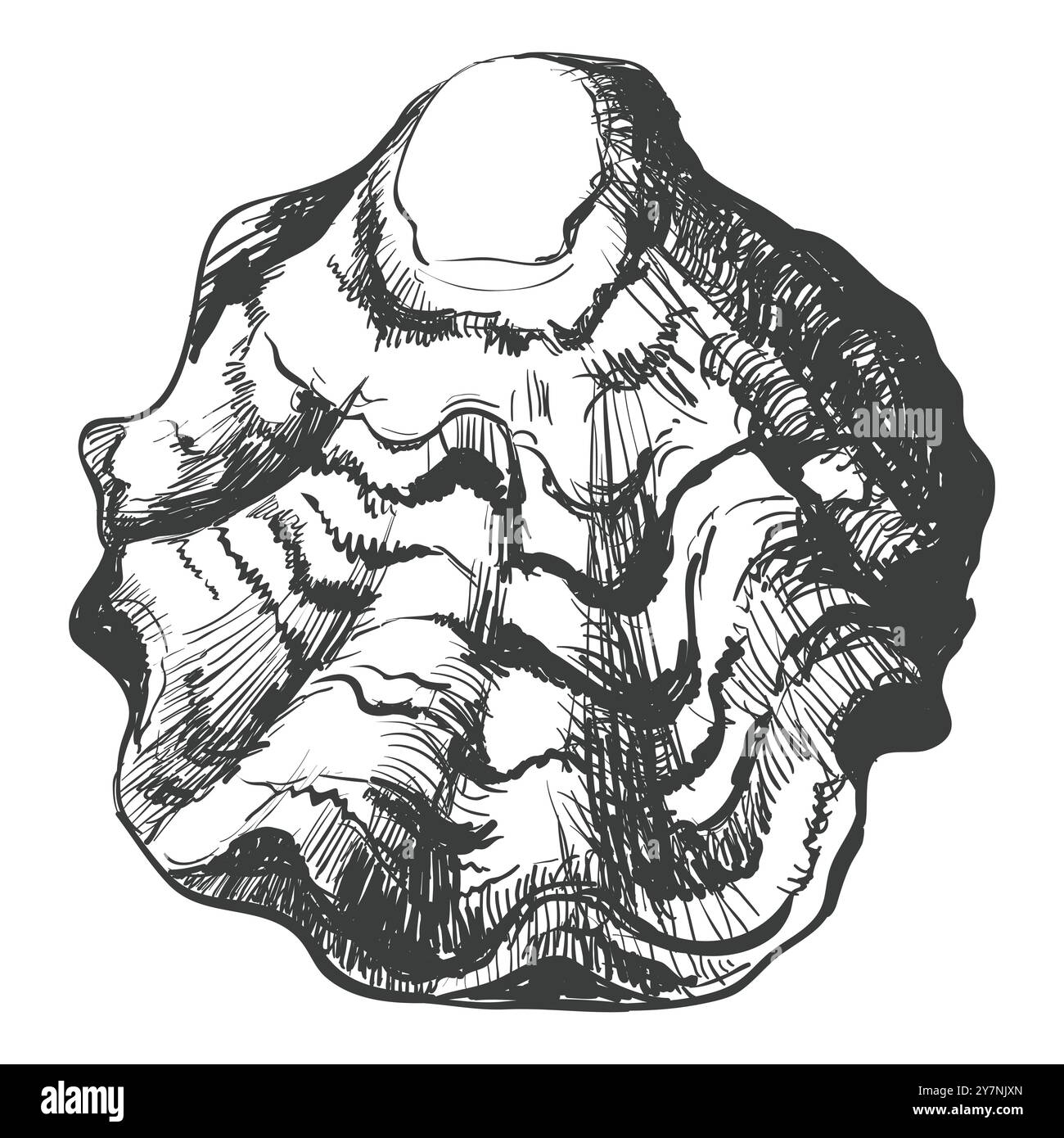 Schizzo vettoriale dell'ostrica. Guscio di ostriche disegnato a mano. Pesce isolato su sfondo bianco, schizzo lineare. Effetto incisione, disegno a inchiostro lineare. Clipart f Illustrazione Vettoriale