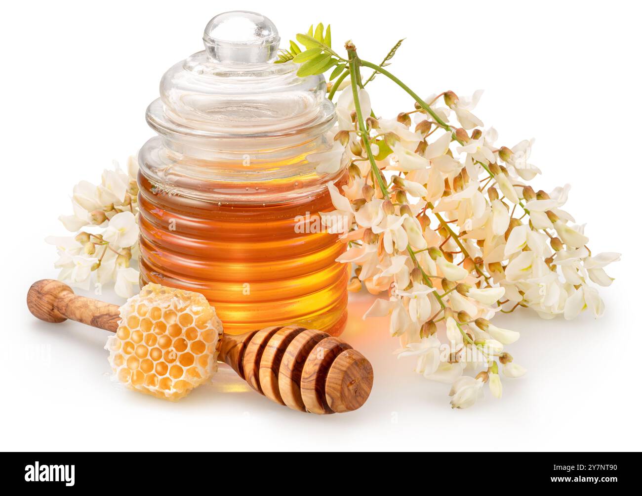 Gruppo di fiori di acacia in fiore e vaso di vetro di miele isolato su sfondo bianco. Foto Stock