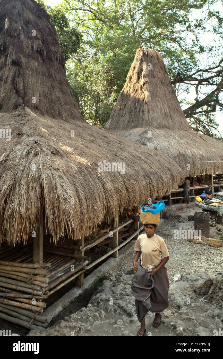 Una donna porta del cibo sulla testa, mentre cammina di fronte alle case tradizionali nel villaggio tradizionale di Praijing a Tebara, Waikabubak, Sumba occidentale, Nusa Tenggara orientale, Indonesia. Secondo Hernan Vales, capo della sezione popoli indigeni e minoranze presso United Nation Human Rights, in una pubblicazione del settembre 2024 dell'Ufficio per i diritti umani dell'ONU dell'alto Commissario (OHCHR), le voci dei popoli indigeni sono cruciali per promuovere i loro diritti umani e la loro partecipazione al processo decisionale internazionale. Foto Stock