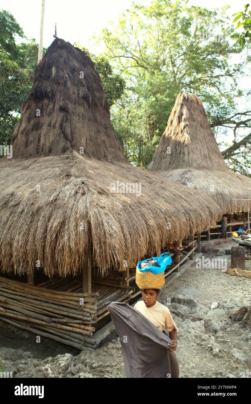 Una donna porta del cibo sulla testa, mentre cammina di fronte alle case tradizionali nel villaggio tradizionale di Praijing a Tebara, Waikabubak, Sumba occidentale, Nusa Tenggara orientale, Indonesia. Secondo Hernan Vales, capo della sezione popoli indigeni e minoranze presso United Nation Human Rights, in una pubblicazione del settembre 2024 dell'Ufficio per i diritti umani dell'ONU dell'alto Commissario (OHCHR), le voci dei popoli indigeni sono cruciali per promuovere i loro diritti umani e la loro partecipazione al processo decisionale internazionale. Foto Stock
