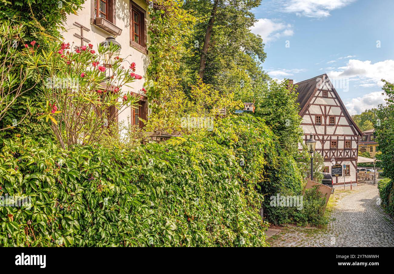 Case in legno a Schloßberg, distretto di Schloßchemnitz, Chemnitz, Sassonia, Germania Foto Stock