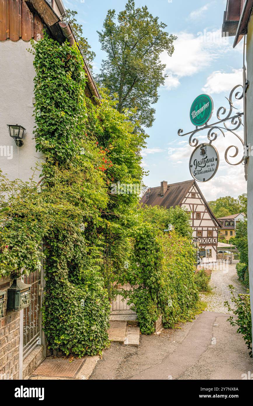 Case in legno a Schloßberg, distretto di Schloßchemnitz, Chemnitz, Sassonia, Germania Foto Stock