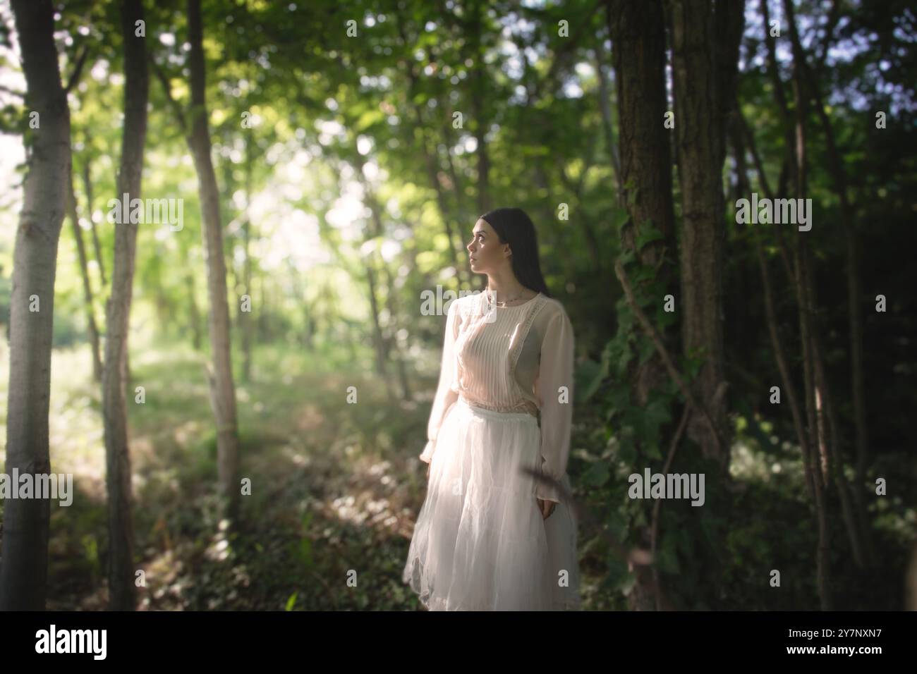 donna in mezzo alla natura illuminata da un raggio di sole, concetto di vita Foto Stock