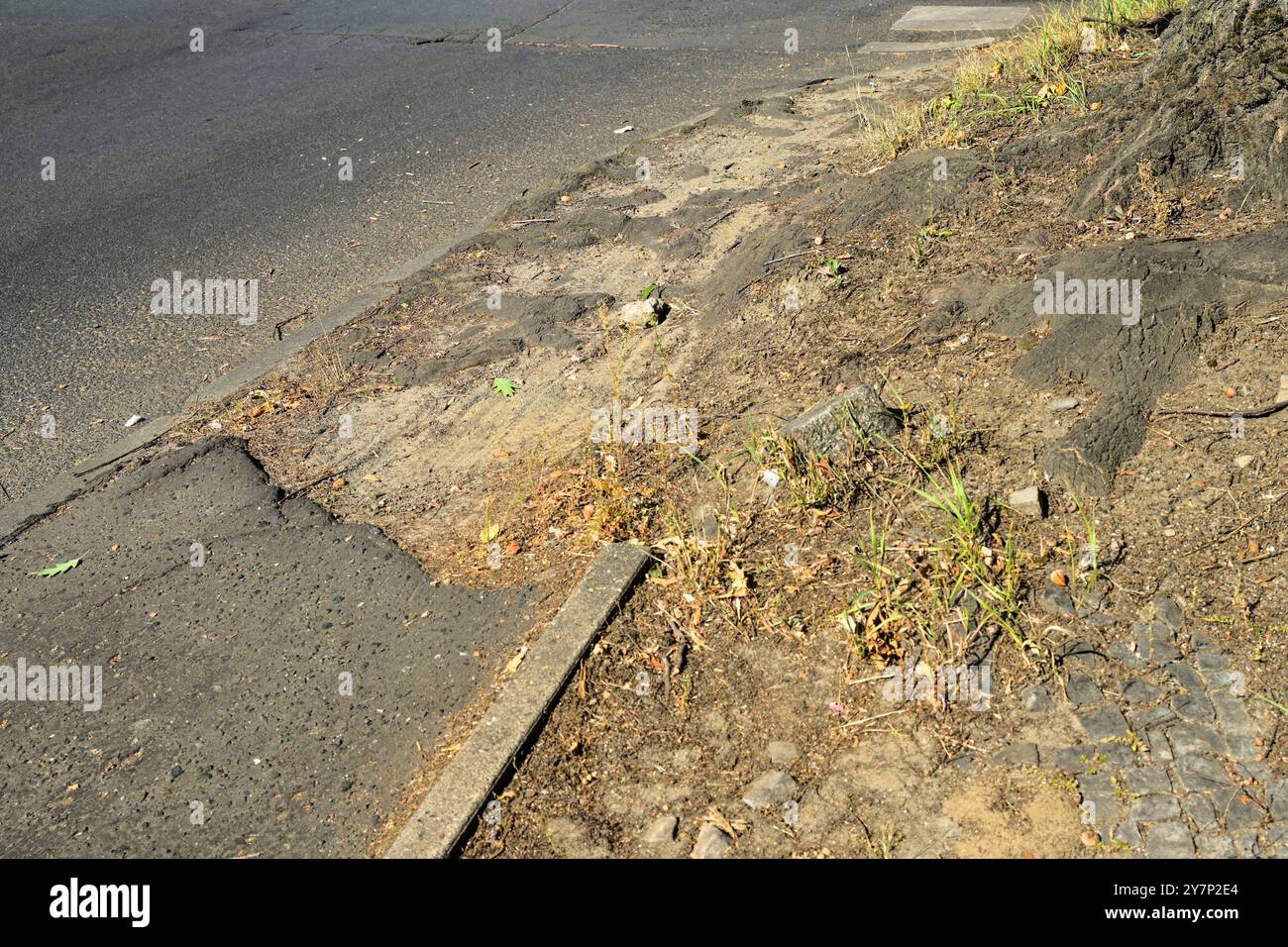 Pista ciclabile, asfalto cattivo, Spanische Allee, Nikolassee, Steglitz-Zehlendorf, Berlino, Germania, Radweg, schlechter Asphalt, Spanische Allee, Germania Foto Stock
