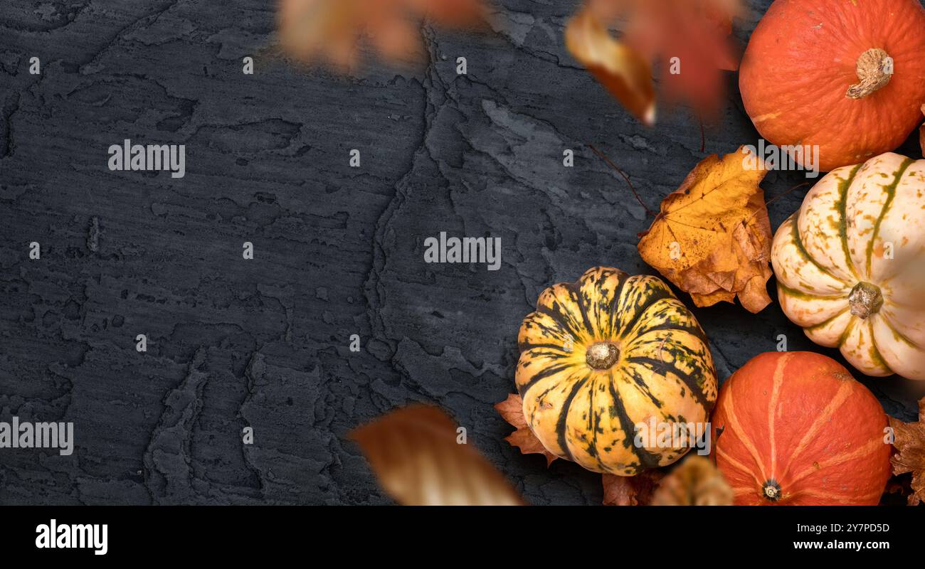 Un autunno di ringraziamento stagionale con zucche, cibo e foglie in rovina. Layout della stagione autunnale di halloween. Foto Stock